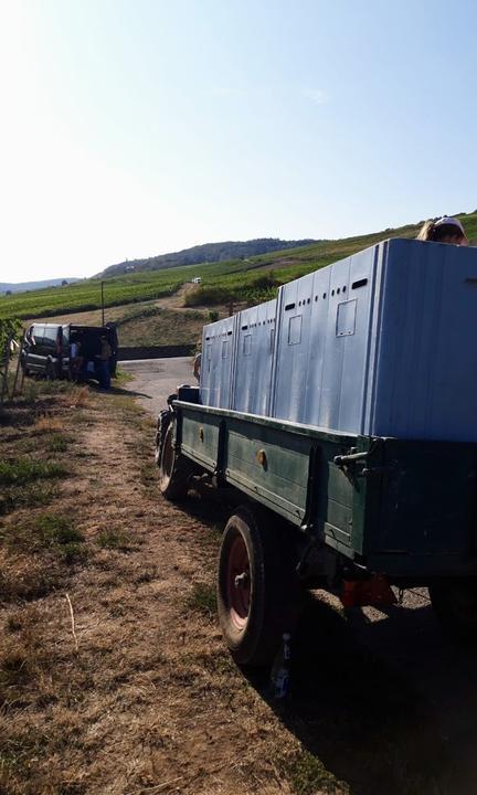 Weingut Gutsausschank Eibinger Zehnthof